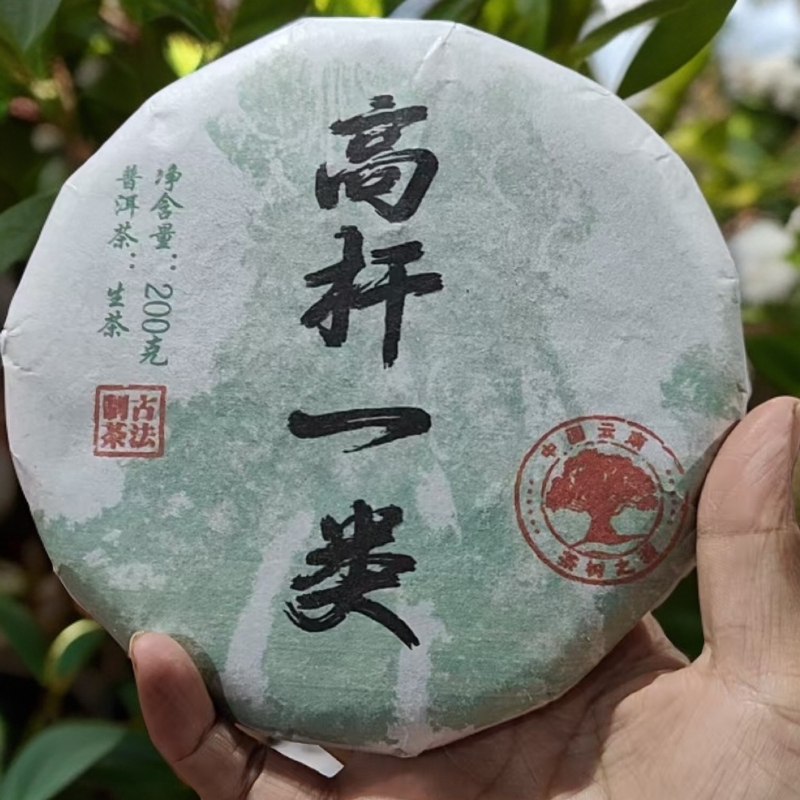 2023年一类高杆生茶饼