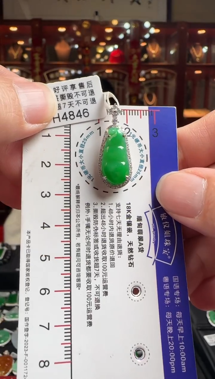 【闪购商品】翡翠颈饰18K金镶嵌H4846冰绿富贵豆