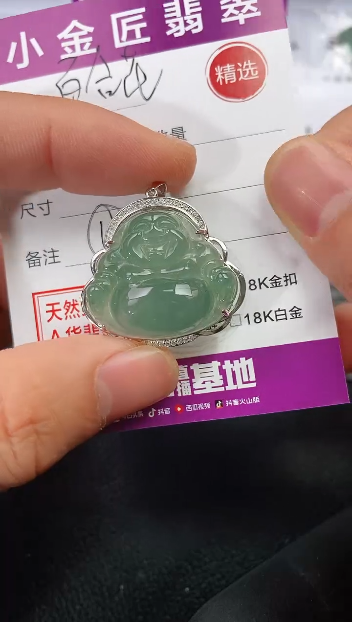 颈饰银S925镶嵌翡翠百*花199