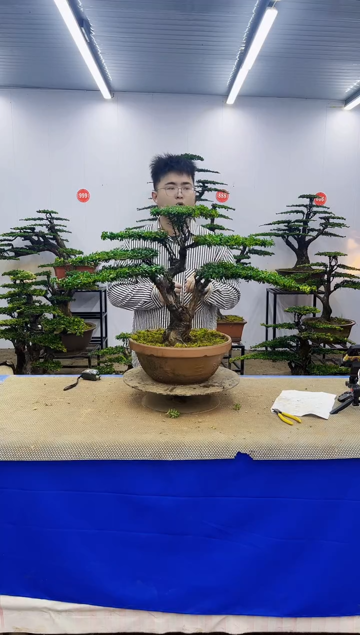 完全开放一物一拍，所见即所得