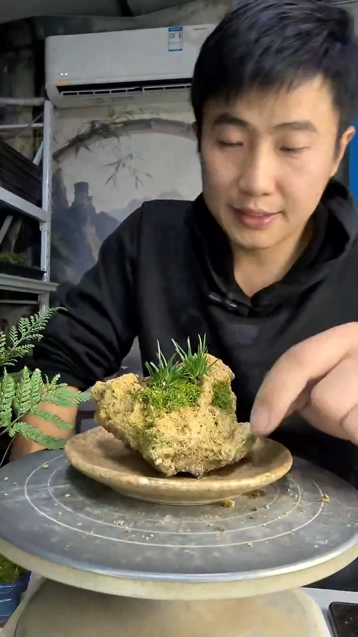 次**开中青园艺一物一拍花473