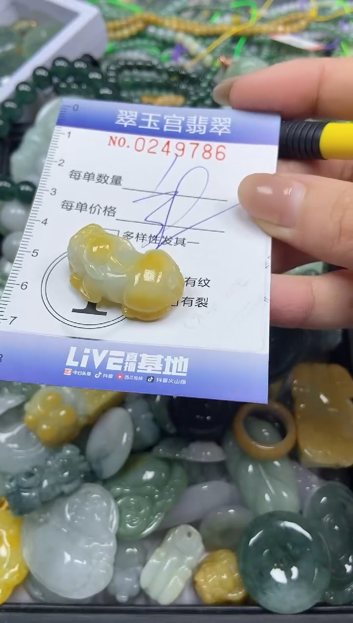 颈饰未镶嵌翡翠闪购C0249786