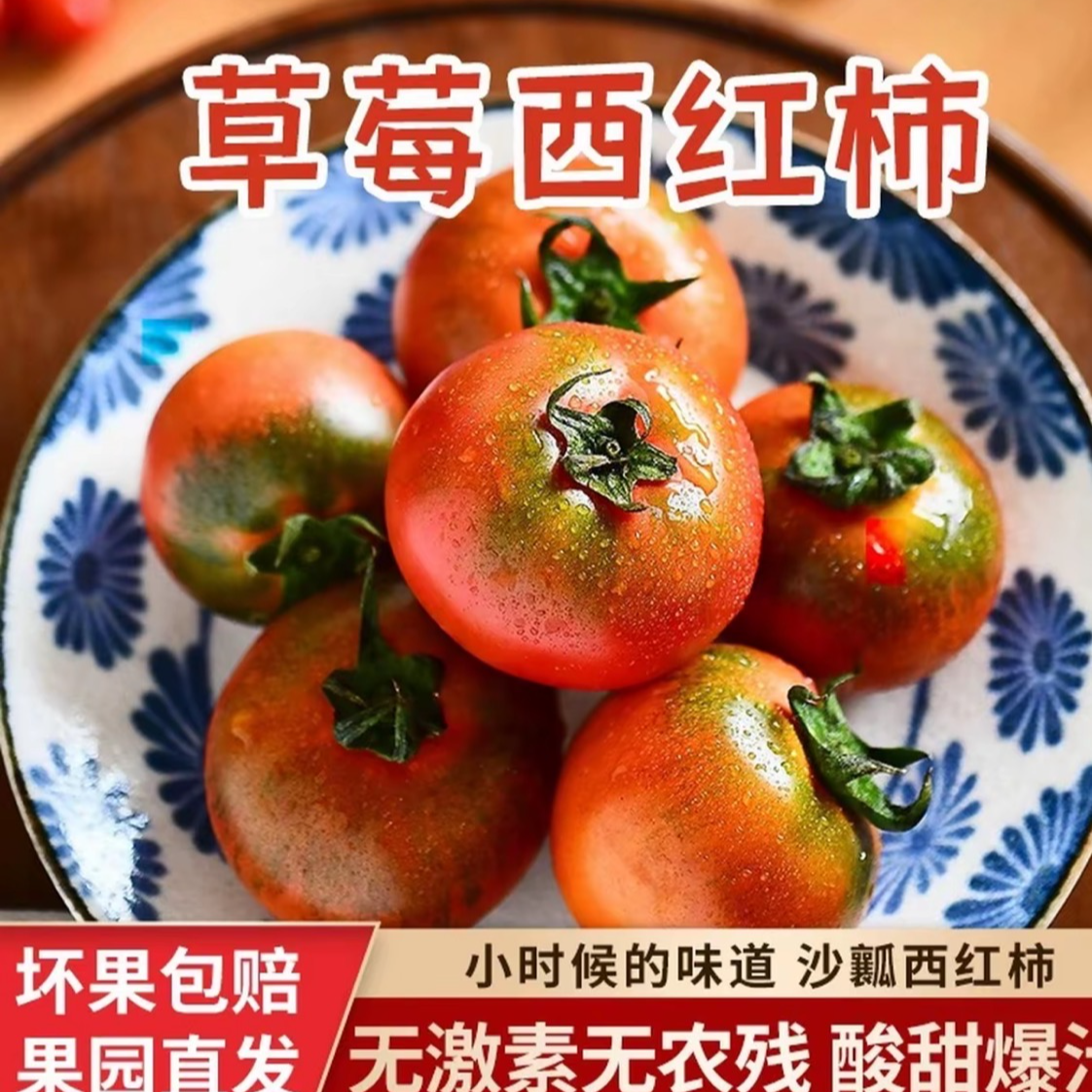 《次日达》南山种植小草莓西红柿新疆维吾尔自治区