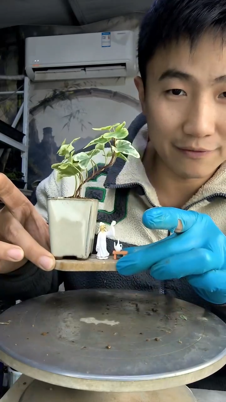 s**r中青园艺一物一拍花93