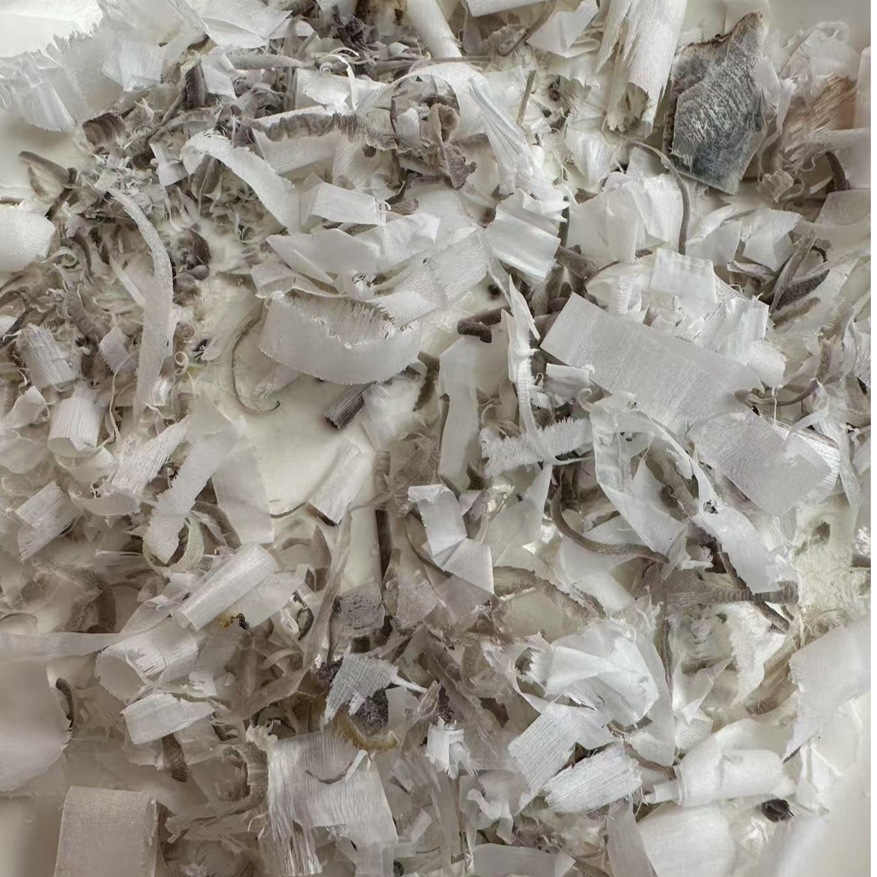 【卓玛山货】 角丝