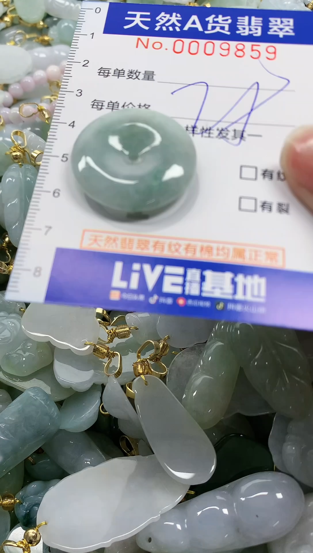 颈饰未镶嵌翡翠纯天然a货翡翠