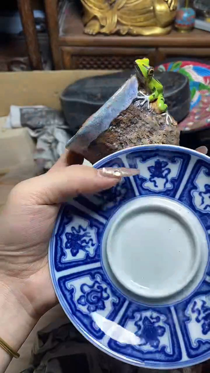 【闪购商品】瓷片瓷器瓷器瓷器瓷器