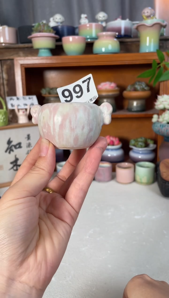 瓷片997知木小芳花盆