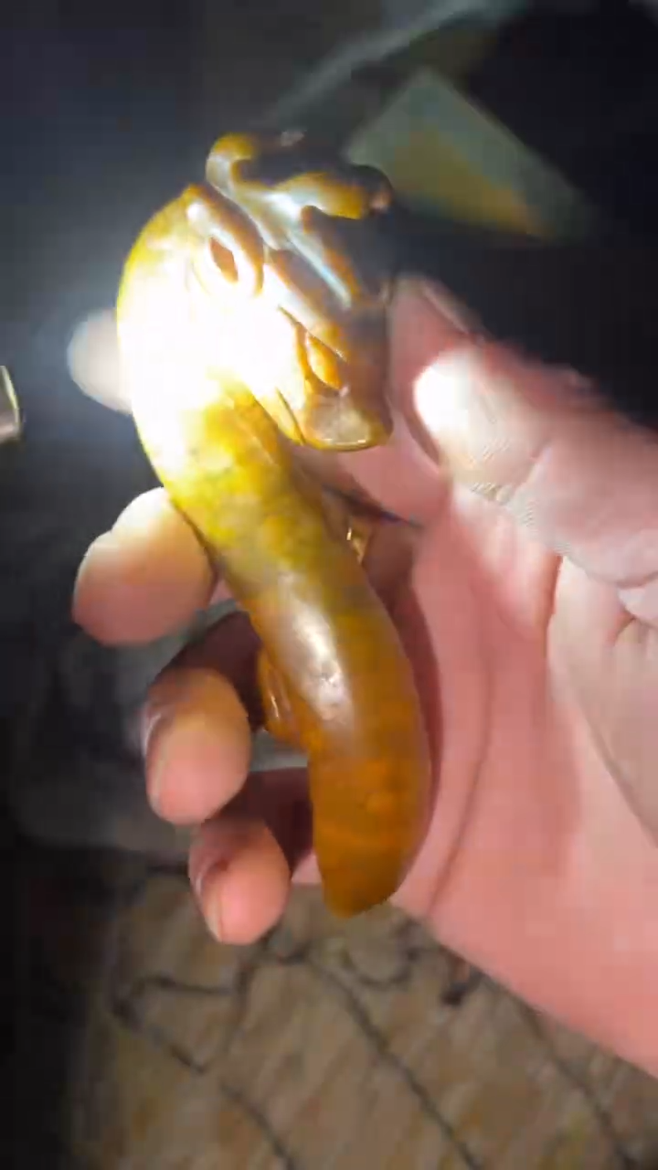 【闪购商品】玉闪购商品高端专用链接