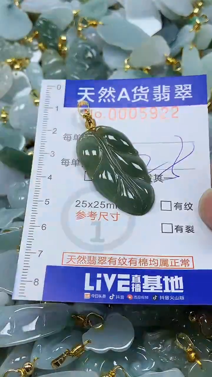 颈饰未镶嵌翡翠纯天然a货翡翠