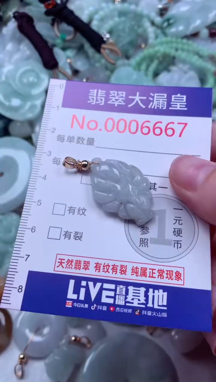 吊坠(不含链)未镶嵌翡翠6667