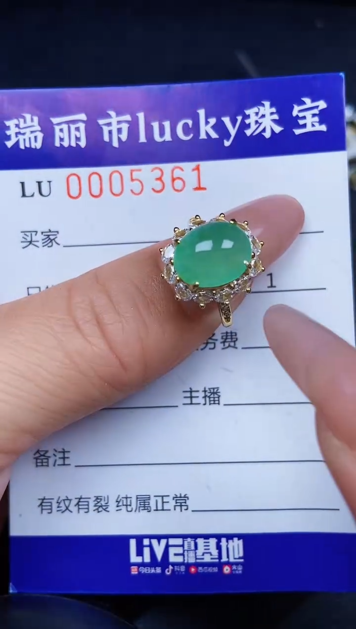 翡翠银S925镶嵌颈饰5361