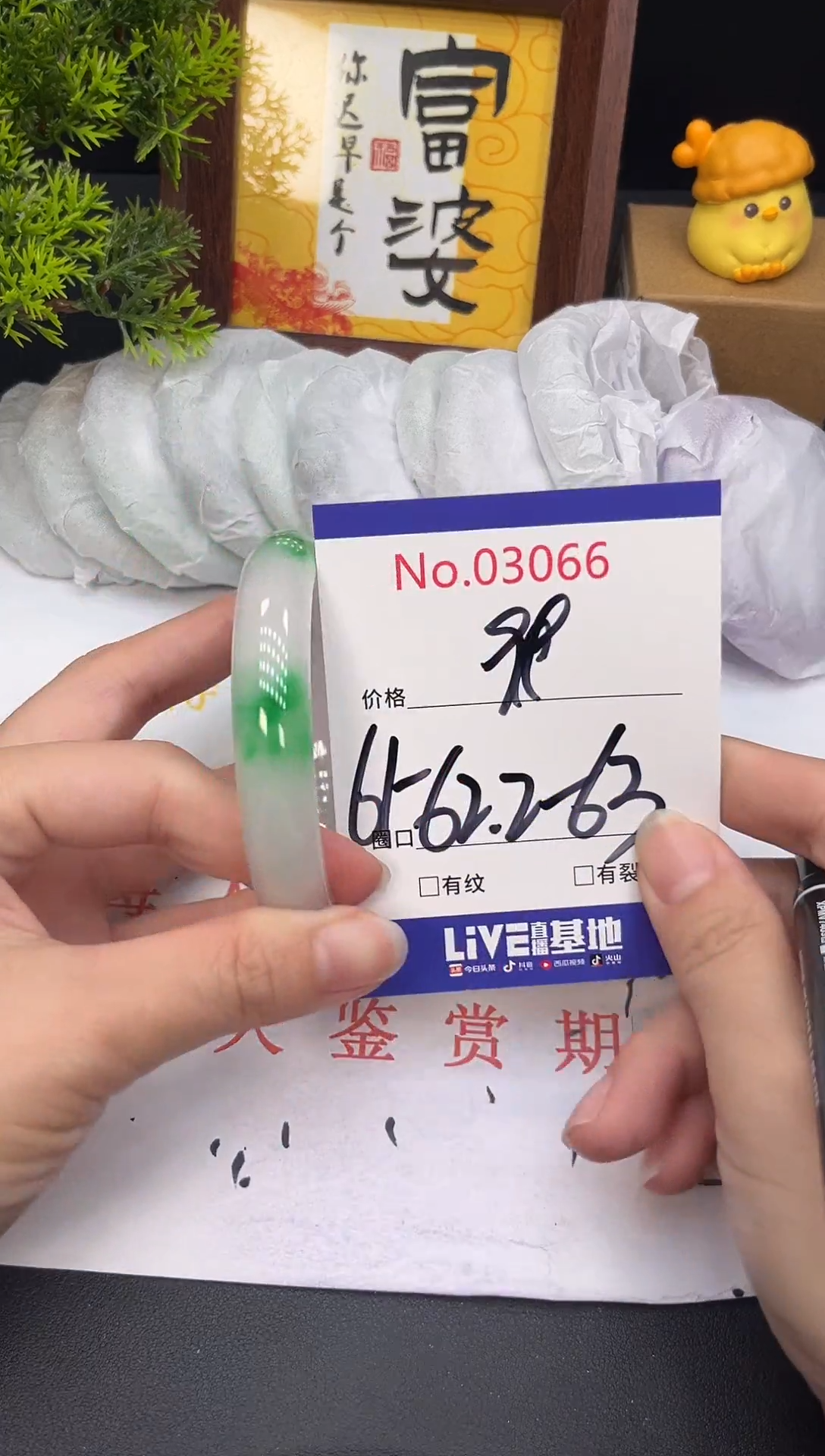 未镶嵌手镯翡翠白*3066