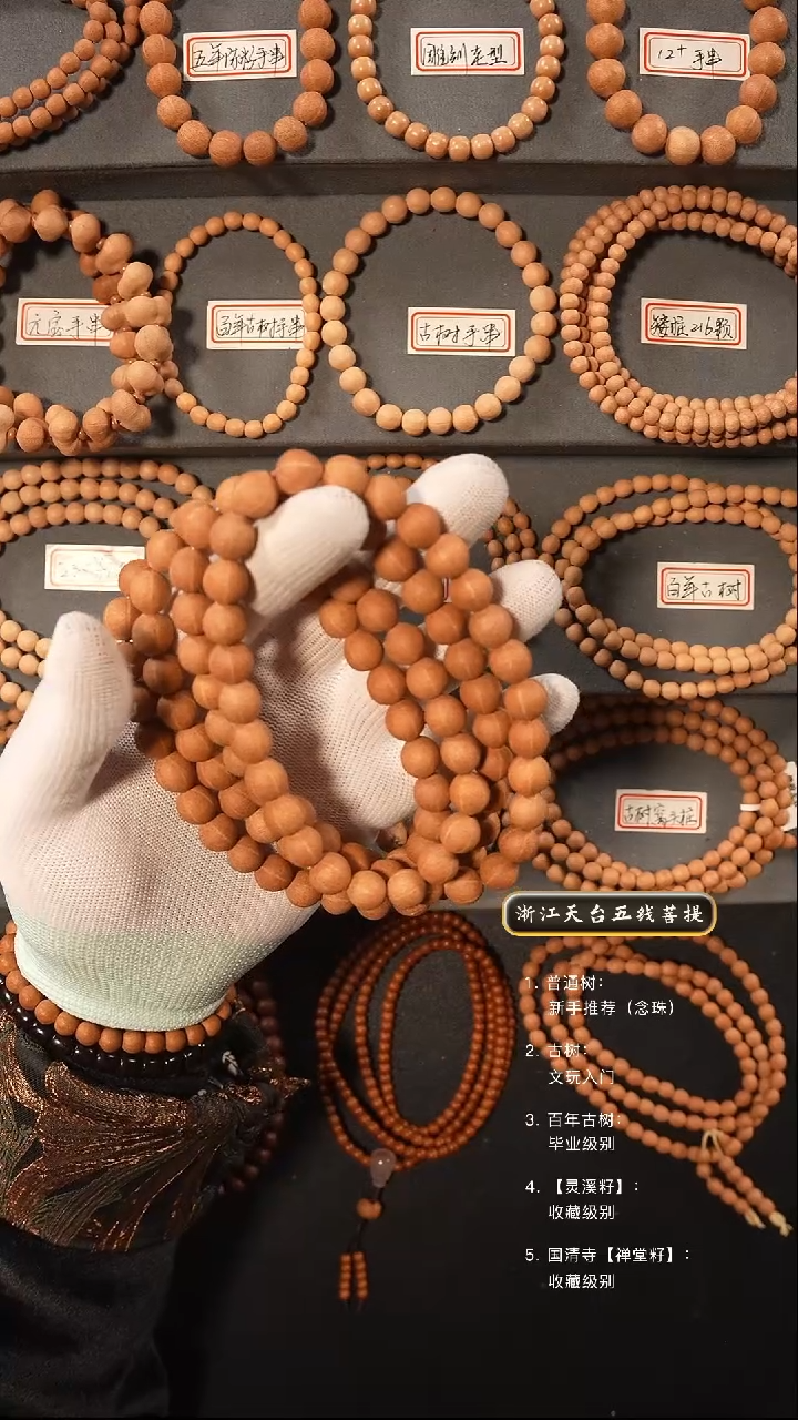 【闪购商品】五线菩提吊坠5年陈籽原皮脖挂10.5+