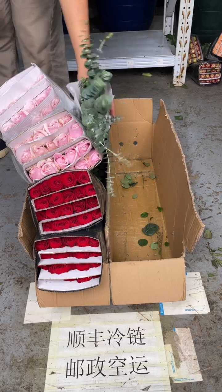 高原红2扎+粉红2扎+尤加利