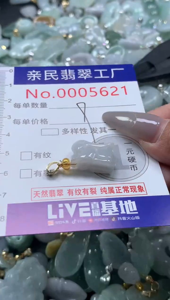 颈饰未镶嵌翡翠5621