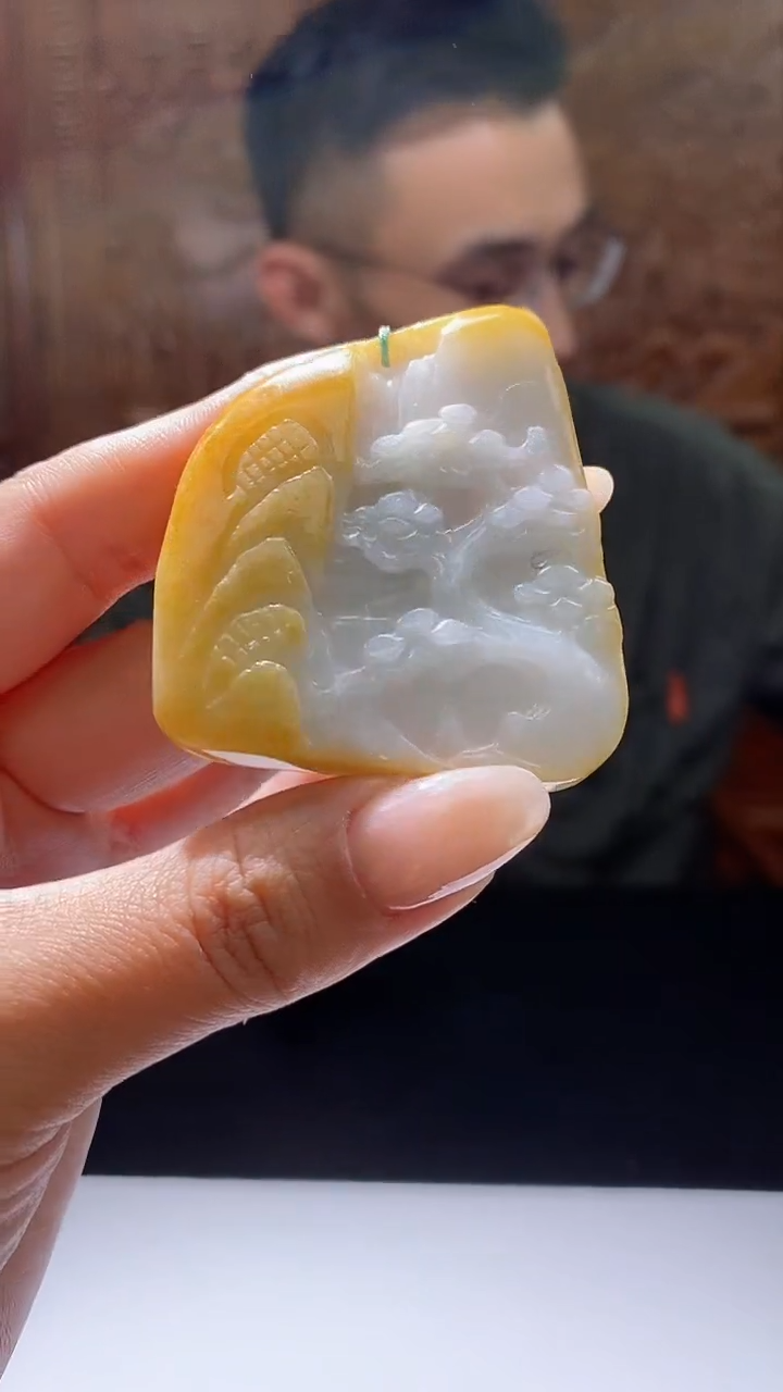 【闪购商品】翡翠项圈未镶嵌山水牌