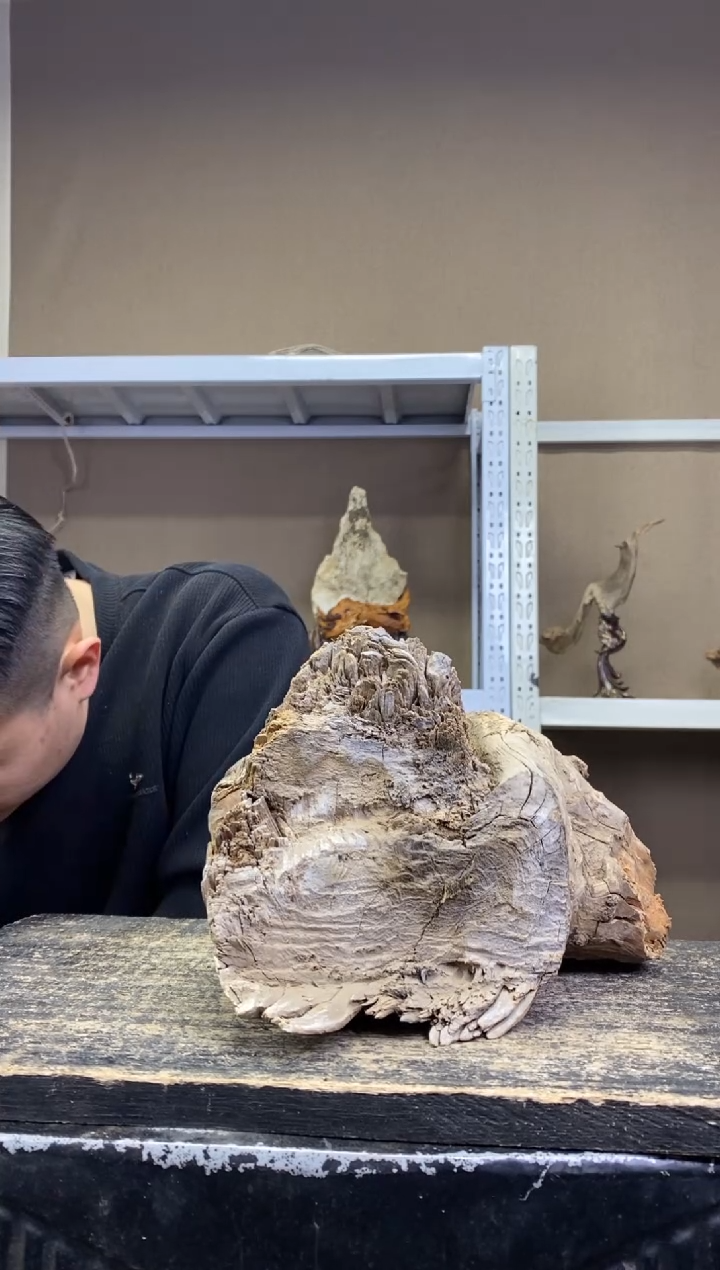 山*工胖胖崖柏精品摆件  山水工