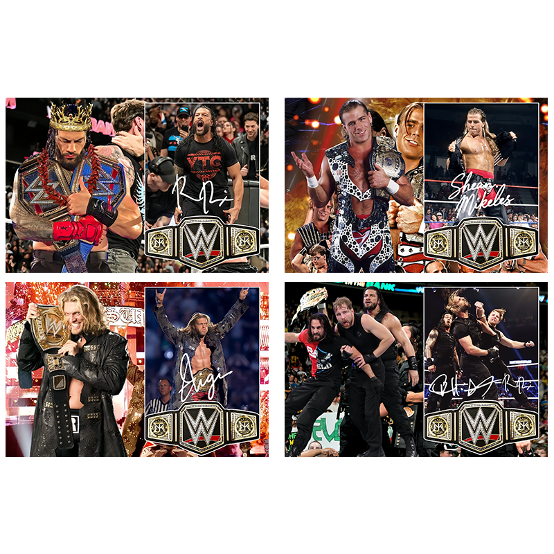 WWE摔角明星周边（福袋专用）