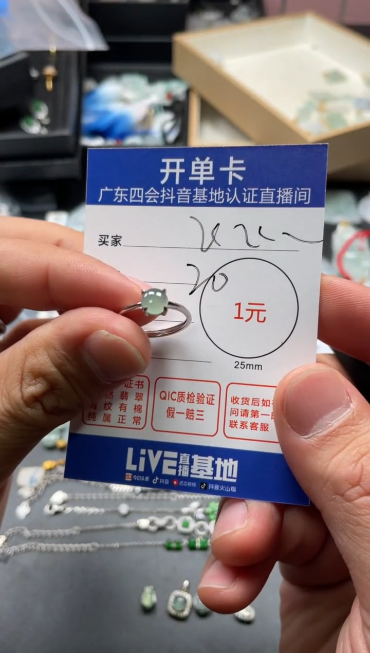 颈饰未镶嵌翡翠飞*挂件