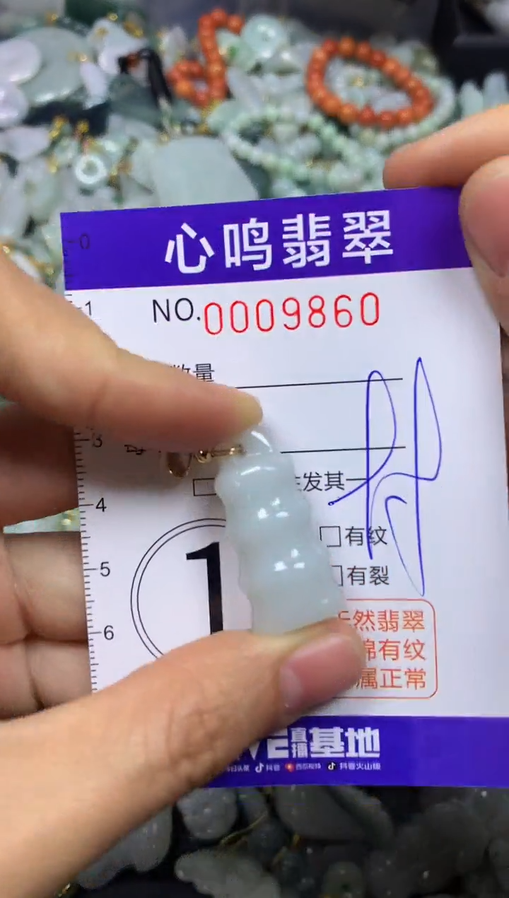 【闪购商品】翡翠颈饰未镶嵌闪购009860