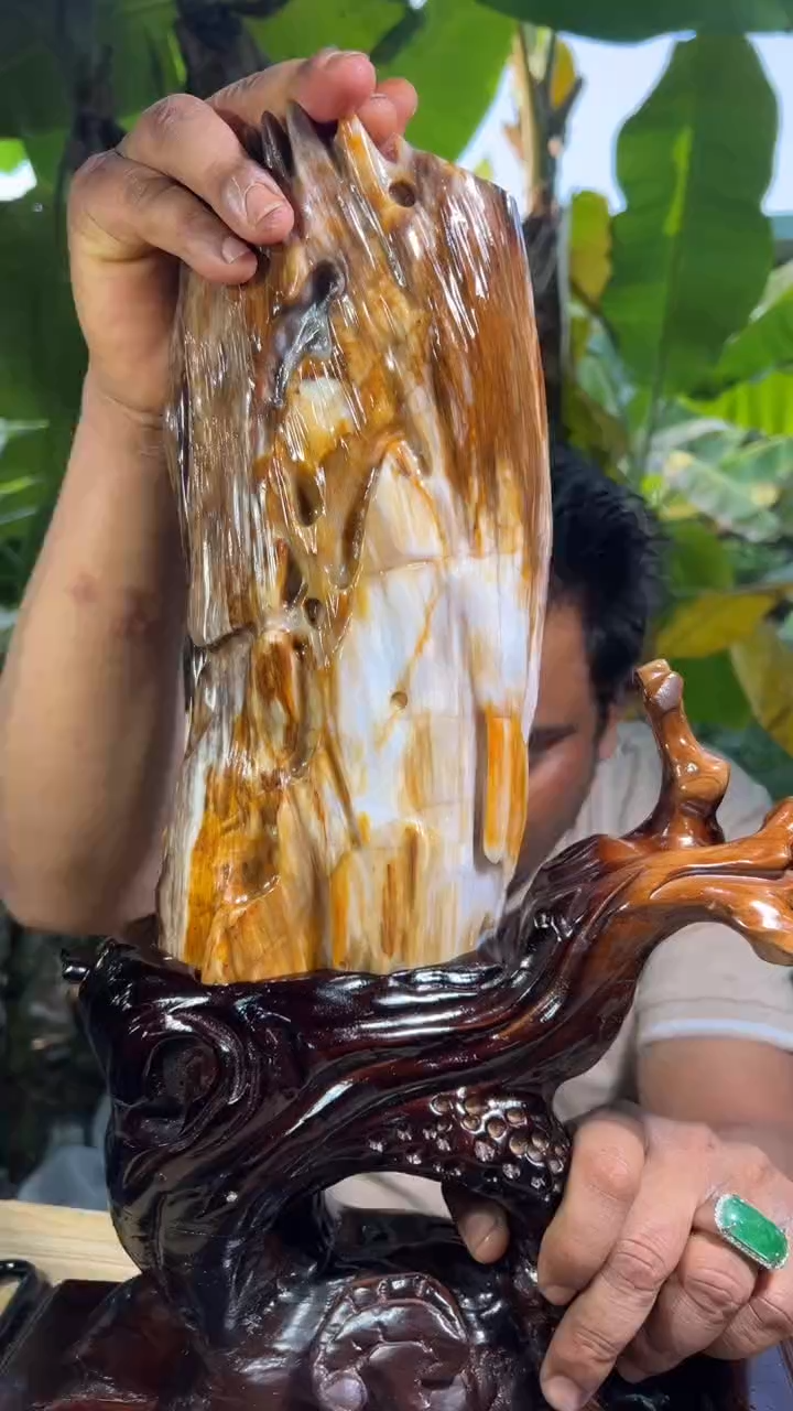 【闪购商品】硅化玉珠宝奇石未镶嵌拍一发一