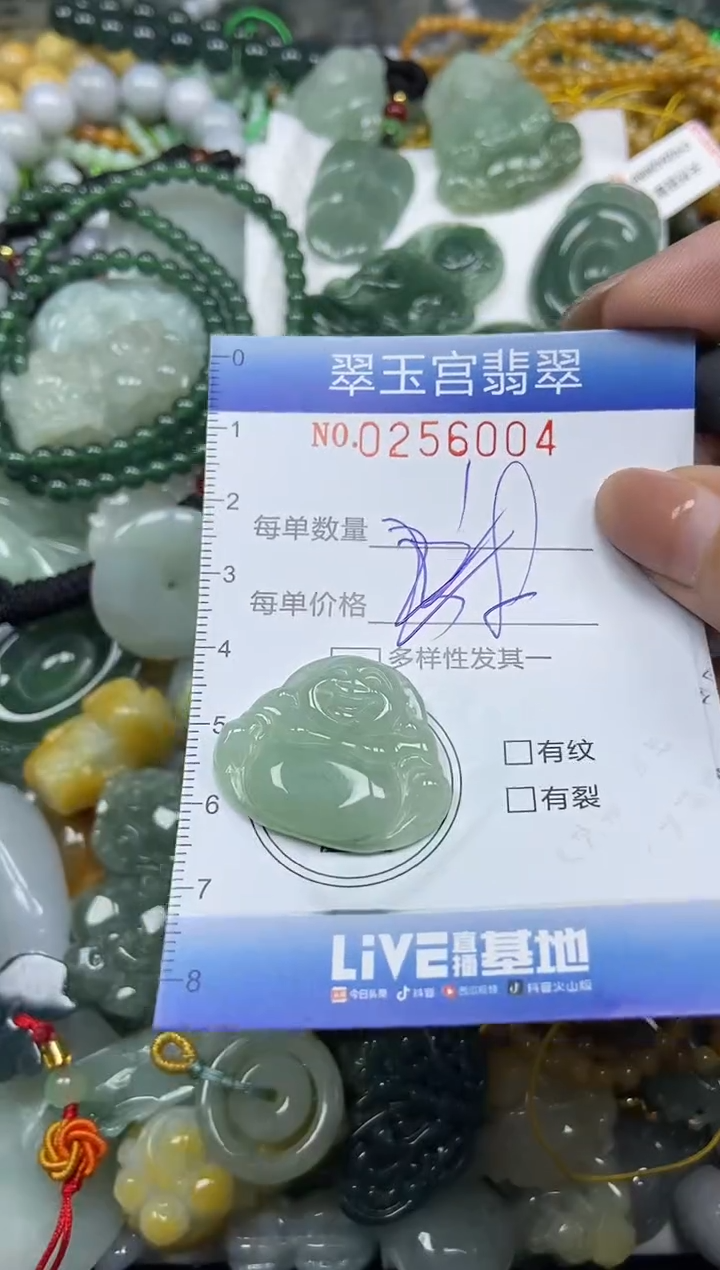 颈饰未镶嵌翡翠闪购C0256004