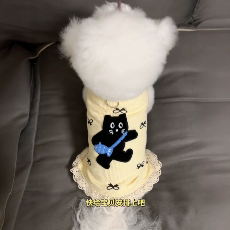 宠物狗狗猫咪衣服春夏新款博美比熊泰迪小型犬高颜值拼接蕾丝背心