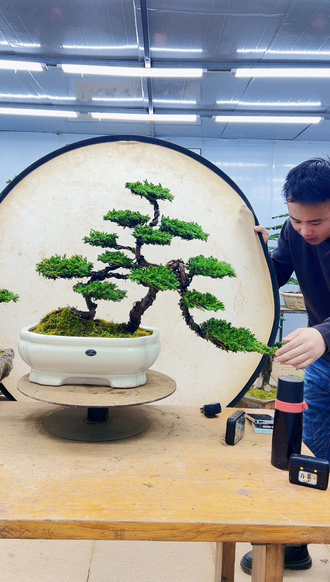 无花朵000000000000000000000000000000