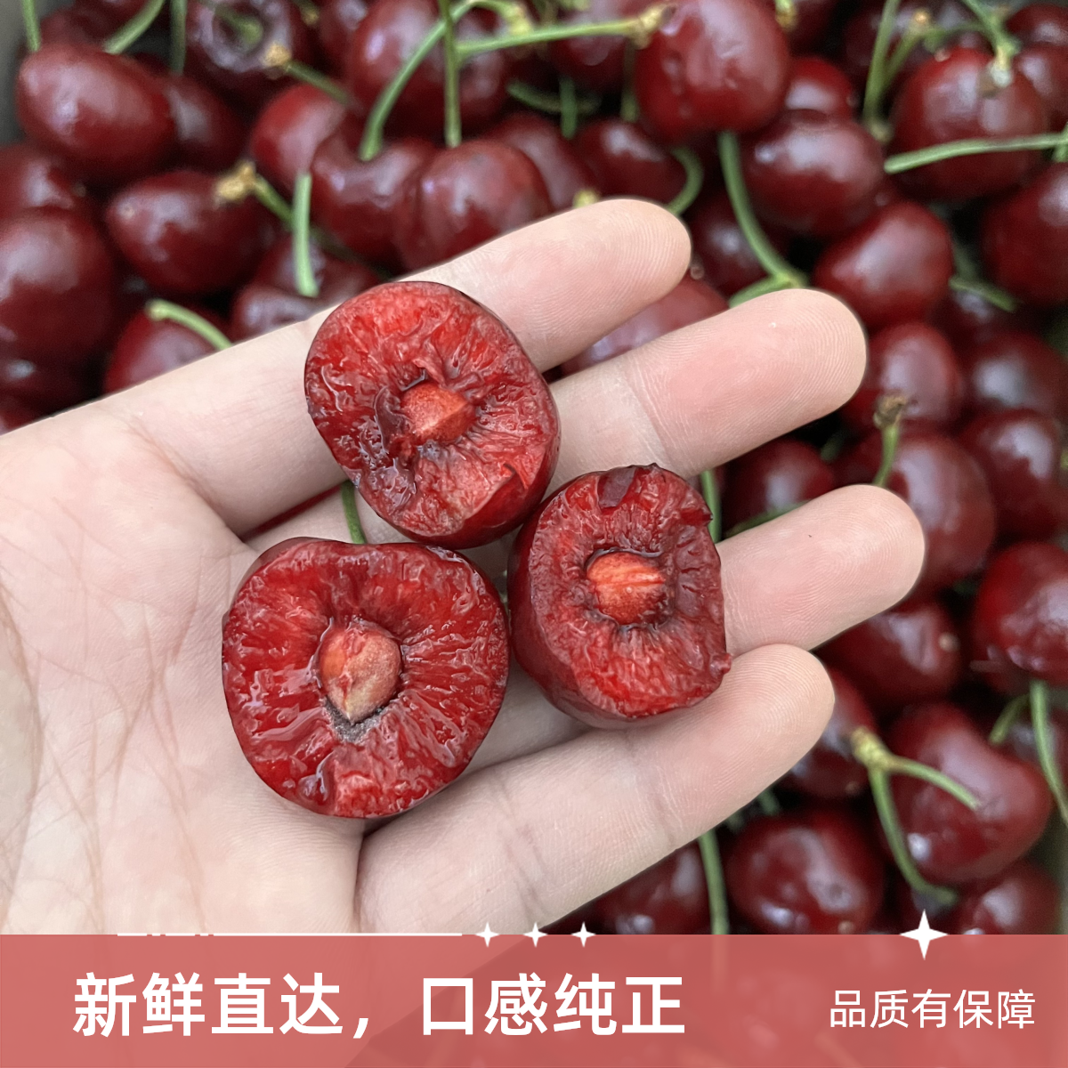 【鲜果现发】智利船运车厘子ZANAJJ双勾1-2.5KG