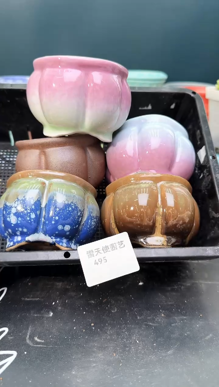 4 95 小南瓜盆 5 个默认微瑕