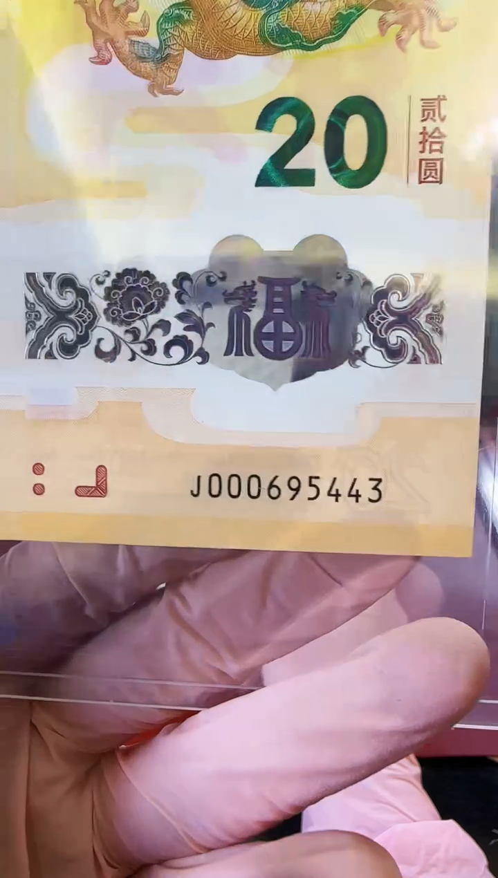 【闪购商品】塑料2025龙钞单张裸啊啊啊啊啊啊