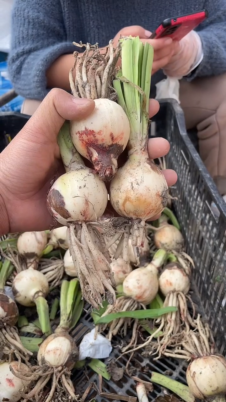 【闪购商品】鬼魅3颗残次球