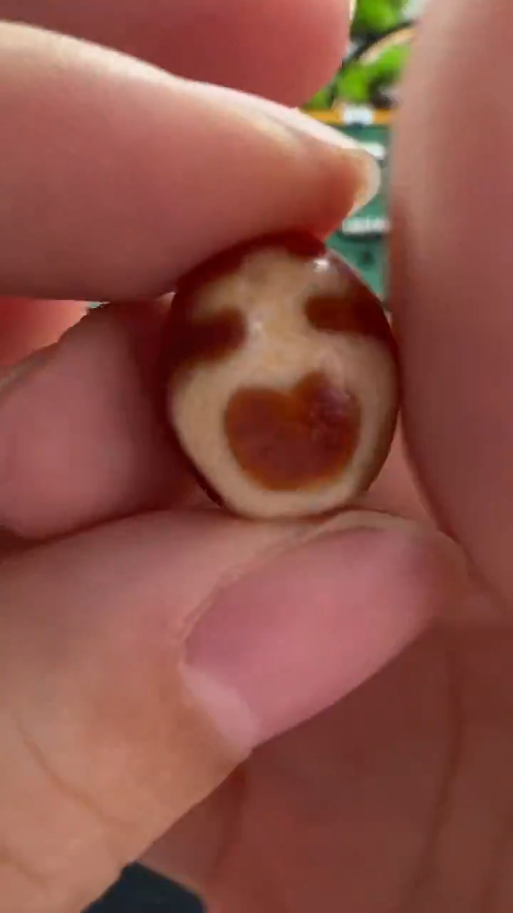 玛瑙/玉髓（覆膜）颈饰未镶嵌137.（微瑕随机发货）