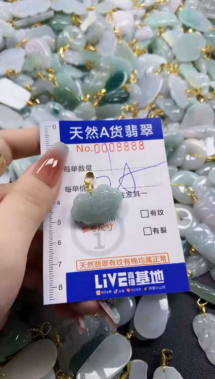 颈饰未镶嵌翡翠天然A货翡翠