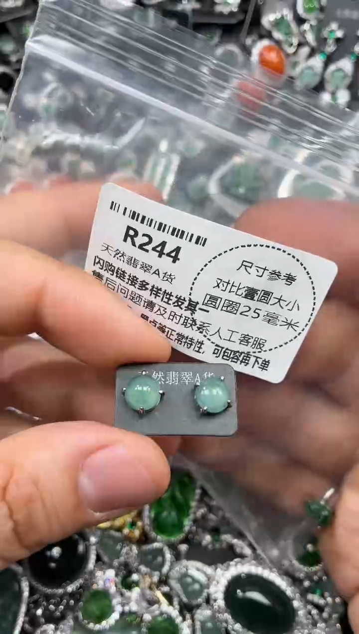 颈饰未镶嵌翡翠R244耳钉