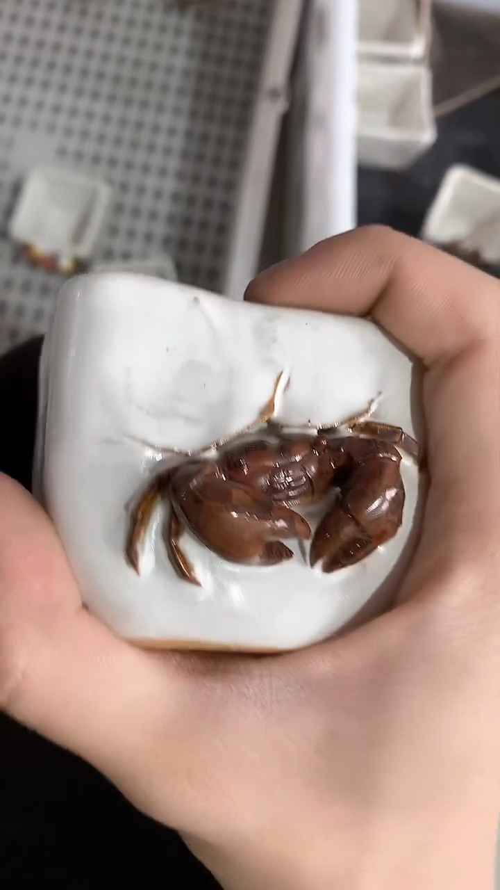 【闪购商品】瓷片陶瓷茶器福利89