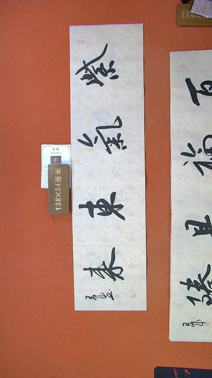 【闪购商品】书法381a王军书法作品