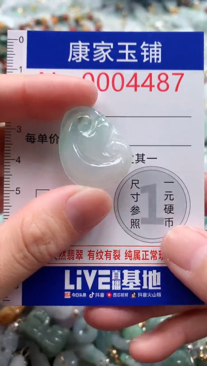 翡翠未镶嵌吊坠(不含链)4487