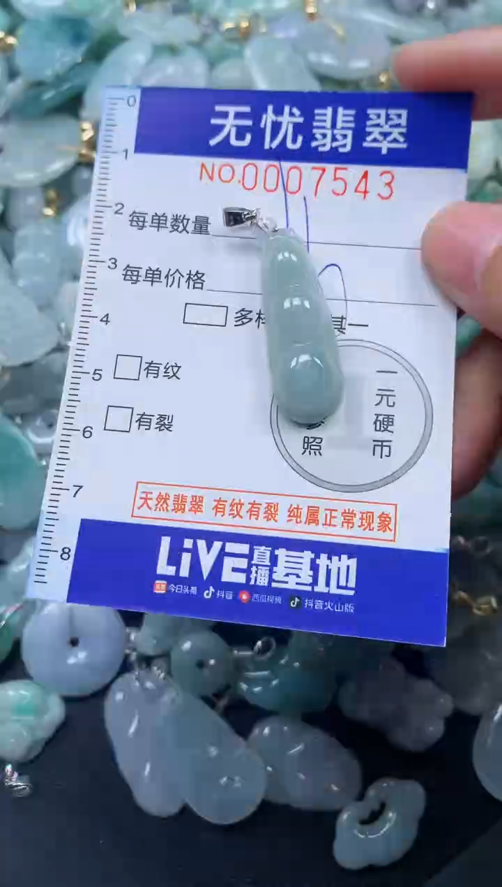 颈饰未镶嵌翡翠7543