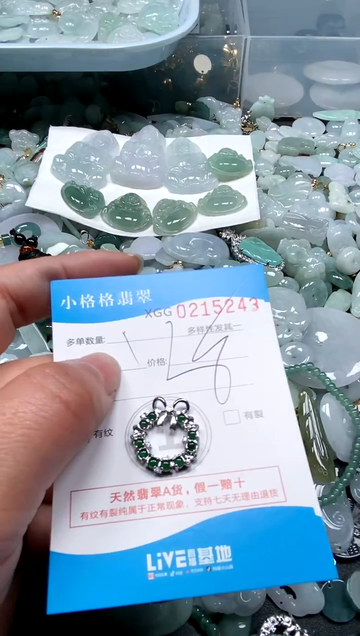 【闪购商品】翡翠颈饰未镶嵌闪购商品0215243