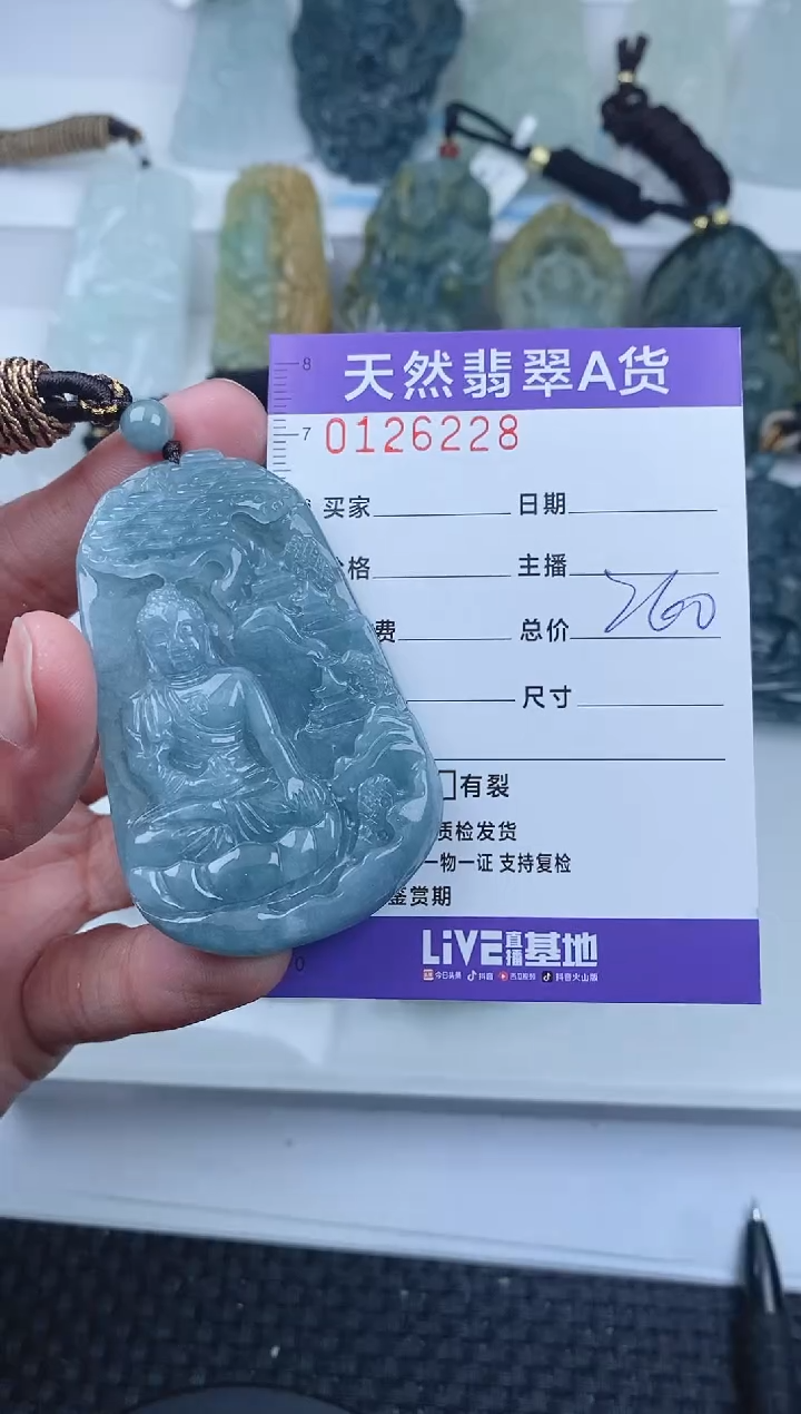 【闪购商品】翡翠颈饰未镶嵌        228