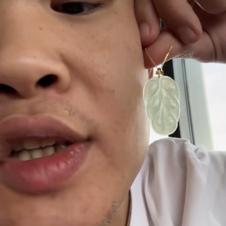 【杰缘珠宝】天然A货翡翠冰底叶子吊坠 多样性发一件