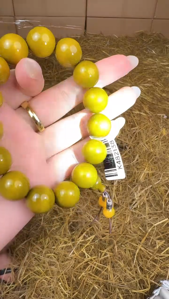 立秋甄选福利闪购商品无礼盒