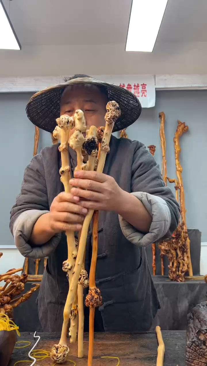 【闪购商品】黑果木其他黑果木391