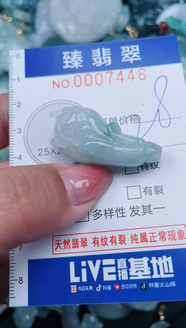 【闪购商品】翡翠颈饰未镶嵌.0007446