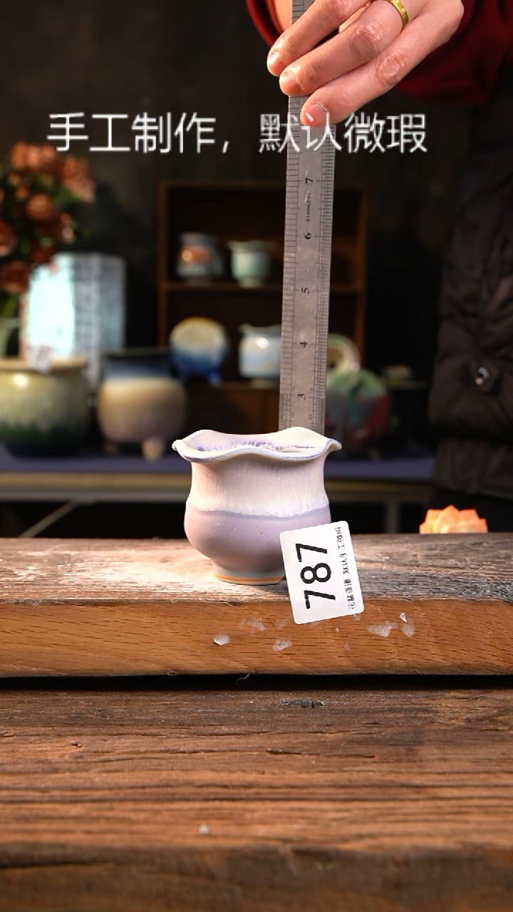 【闪购商品】陶瓷花盆