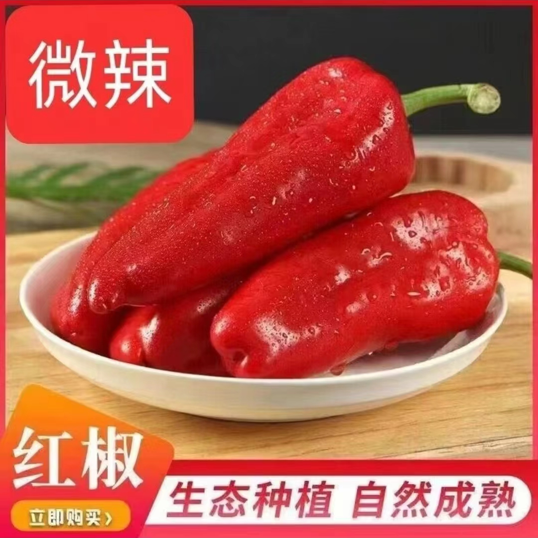 【农家大红辣椒】安徽芜湖农家红辣椒泡椒红尖椒新鲜辣椒灯笼椒