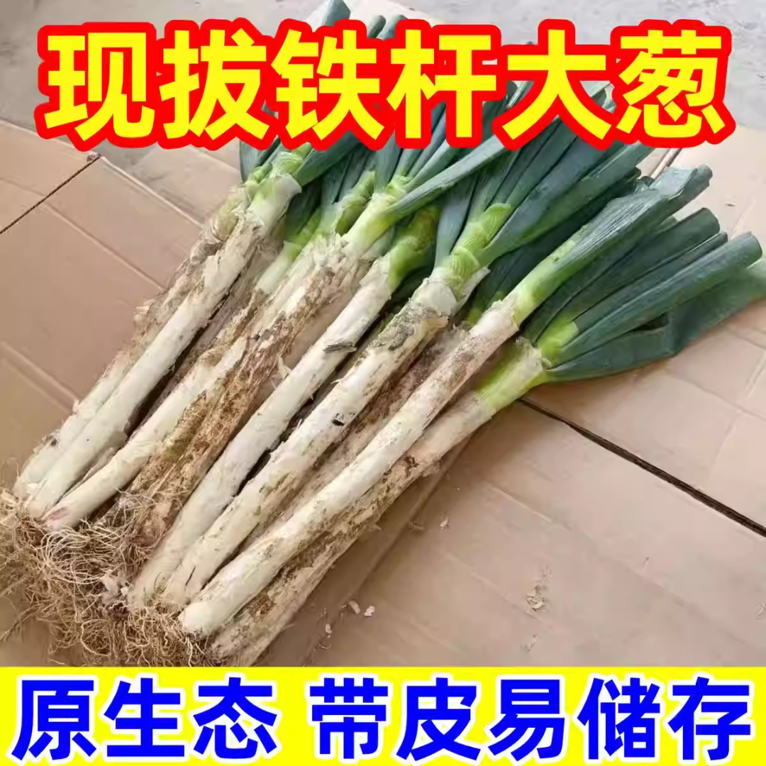 现挖现发农家新鲜大葱山东大葱可炖炒可生吃蘸酱蔬菜鲜脆爽口A
