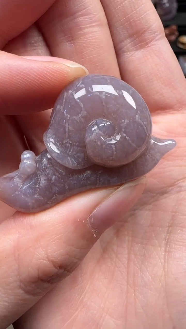 颈饰未镶嵌硅化珊瑚（珊瑚玉）363